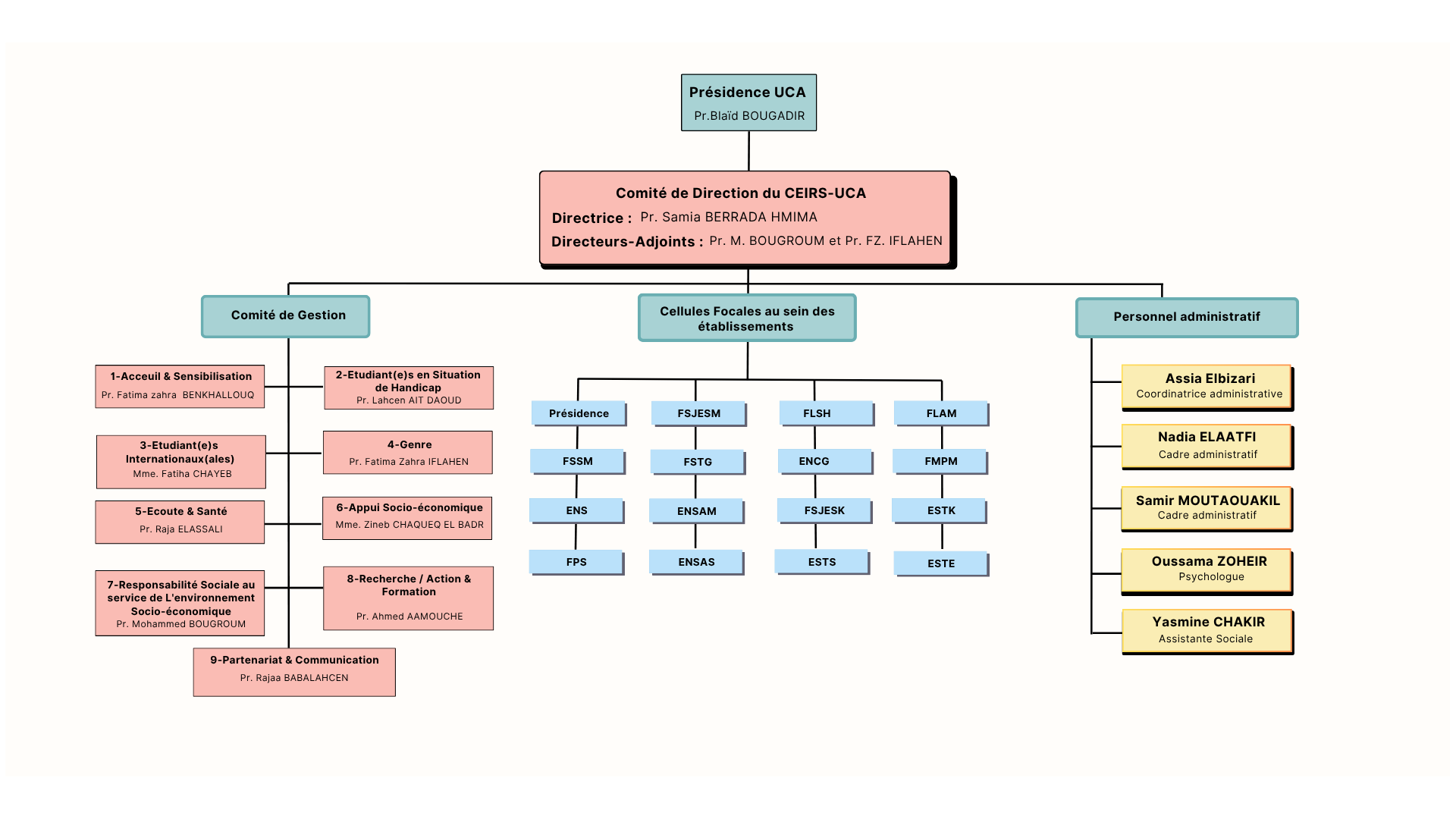 Organigrame of CEIRS-UCA