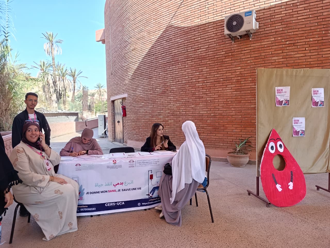 Cliquez pour agrandir la photo Image 1